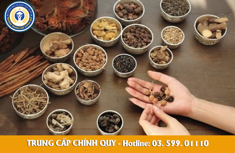 Thông báo Tuyển Sinh Trung Cấp Y Học Cổ Truyền TPHCM 4 trung cap y hoc co truyen 01 min